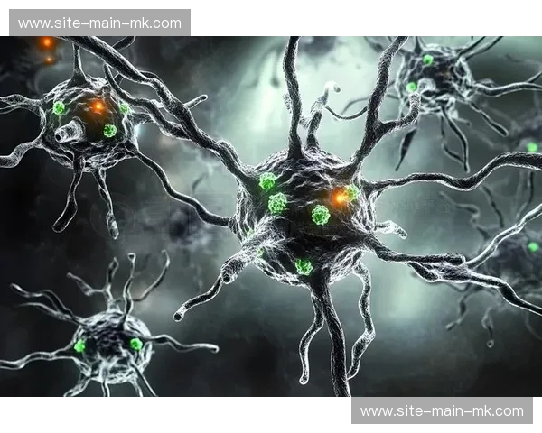 神经渲染技术提升虚拟场景真实感